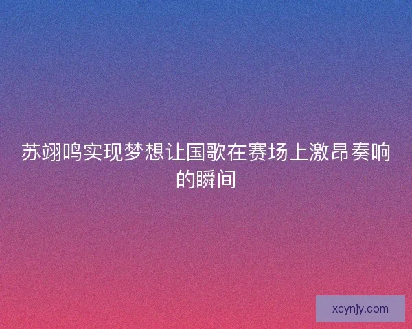 苏翊鸣实现梦想让国歌在赛场上激昂奏响的瞬间