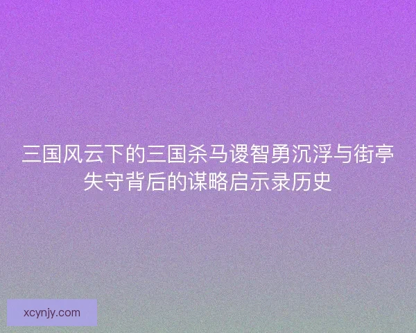 三国风云下的三国杀马谡智勇沉浮与街亭失守背后的谋略启示录历史