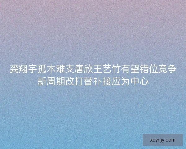 龚翔宇孤木难支唐欣王艺竹有望错位竞争新周期改打替补接应为中心
