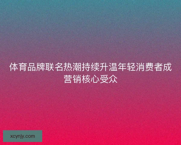 体育品牌联名热潮持续升温年轻消费者成营销核心受众
