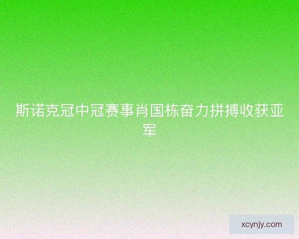 斯诺克冠中冠赛事肖国栋奋力拼搏收获亚军 斯诺克冠中冠赛事肖国栋奋力拼搏收获亚军