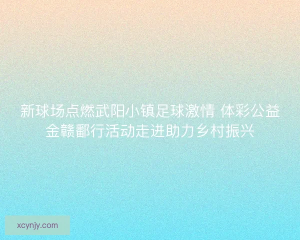 新球场点燃武阳小镇足球激情 体彩公益金赣鄱行活动走进助力乡村振兴